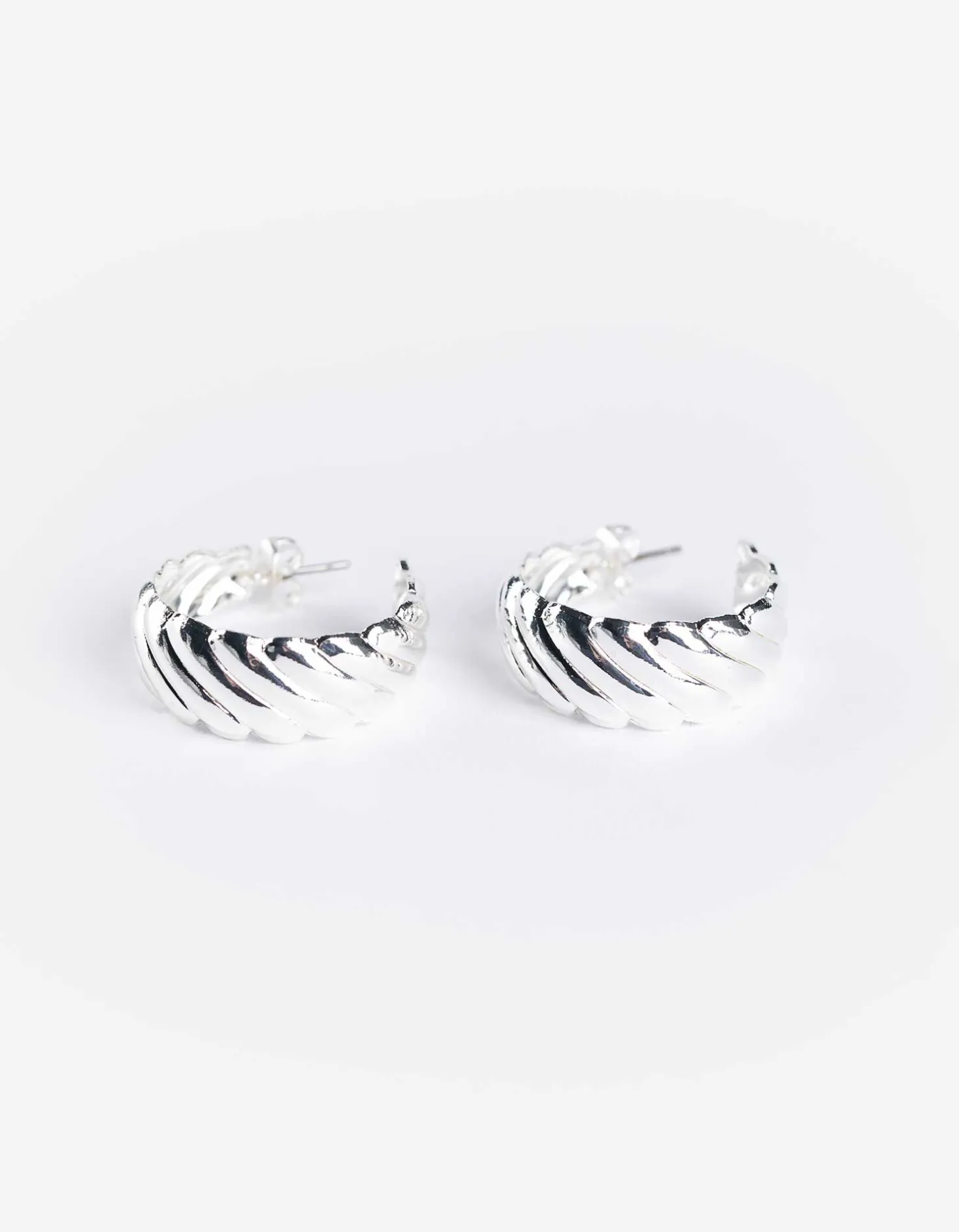 Oorbellen - Roestvrijstaal - zilver