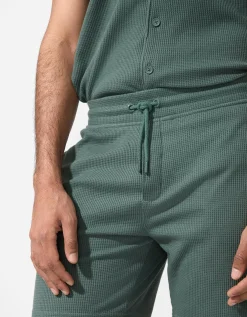 Short - Regular fit - donkergroen